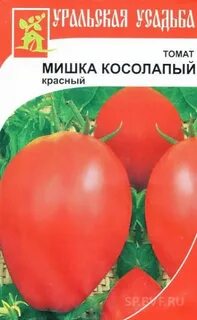 Томат мишка косолапый малиновый