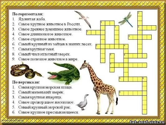 Зверь 4 буквы сканворд. Кроссворд на тему животные. Крассводна тему животные. Кроссворд на тему живот. Кросордна тему животные.