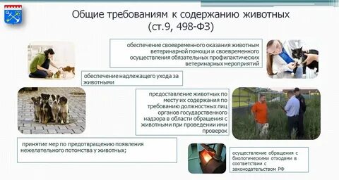 Закон об ответственном отношении
