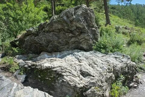 Козьи тропы алтай