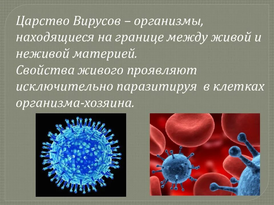 Вирусы основная информация. Признаки царства вирусов. Царство вируса и бактерии 5 класс. Краткая характеристика царства вирусов 5 класс. Царство вирусы характерные особенности.