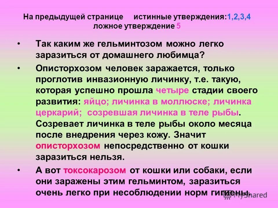 Пневмония причины путь передачи симптомы лечение профилактика. Окончательный хозяин при эхинококкозе. Легко можно заразиться. Легко можно заразиться. Легко можно заразиться.