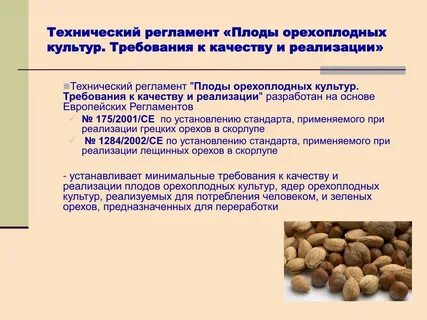 Технические культуры определение