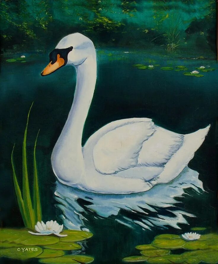 Нарисовать рисунок лебедушка. Сваны картина. Лебедь. Лебедь рисунок. Лебеди живопись.
