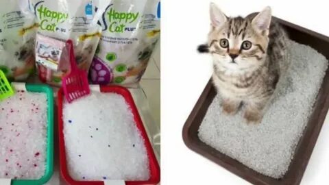 Наполнитель для котенка 2 месяца