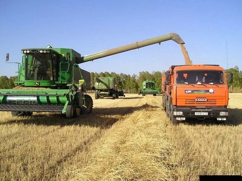 Сельское хозяйство Алтайского края зерноводства. Аграрный комплекс Алтайского края. Сельхозпредприятия Алтайского края. Уборка зерновых Алтайского края.