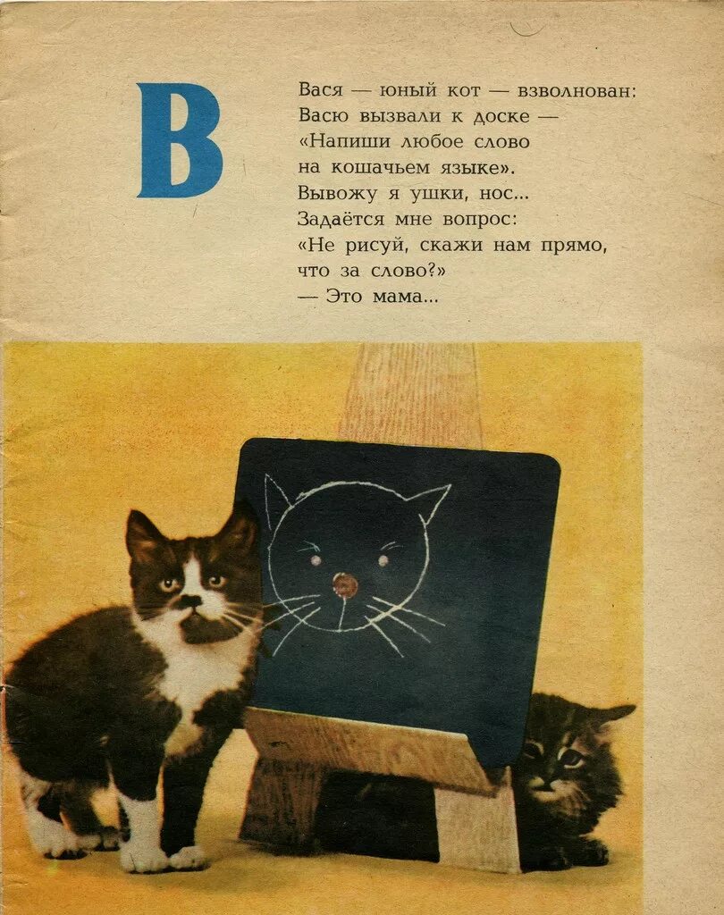 Кошкина Азбука 1976. Стих про кота. Стишки про кошек. Стихотворение про кошку. Черный кот стихи