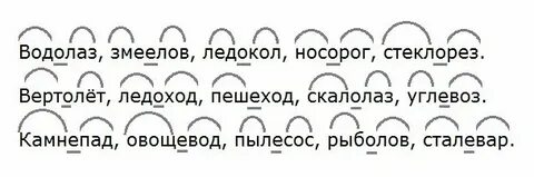 Змеелов корень слова