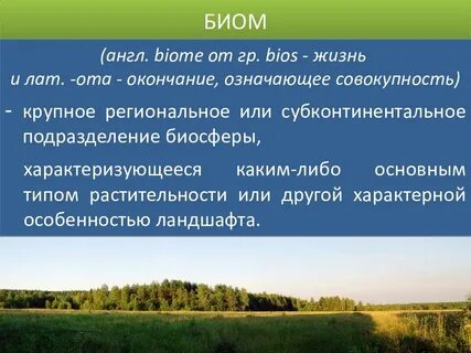 Биом это