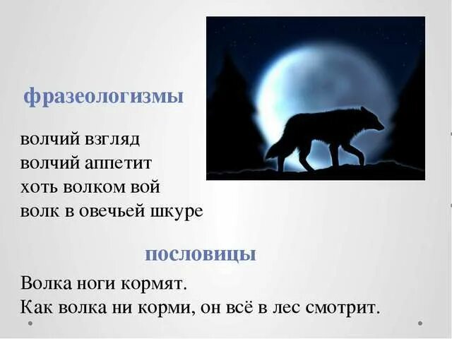 Слова волка и лисы. Фразеологизмы со словом волк. Фразеологизмы со словом лиса волк и собака.