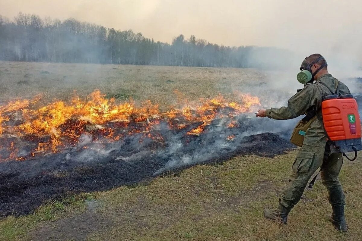 Тушение лесных пожаров. Военные тушат пожар. Тушение пожара военнослужащими. Лесной военный пожарный.