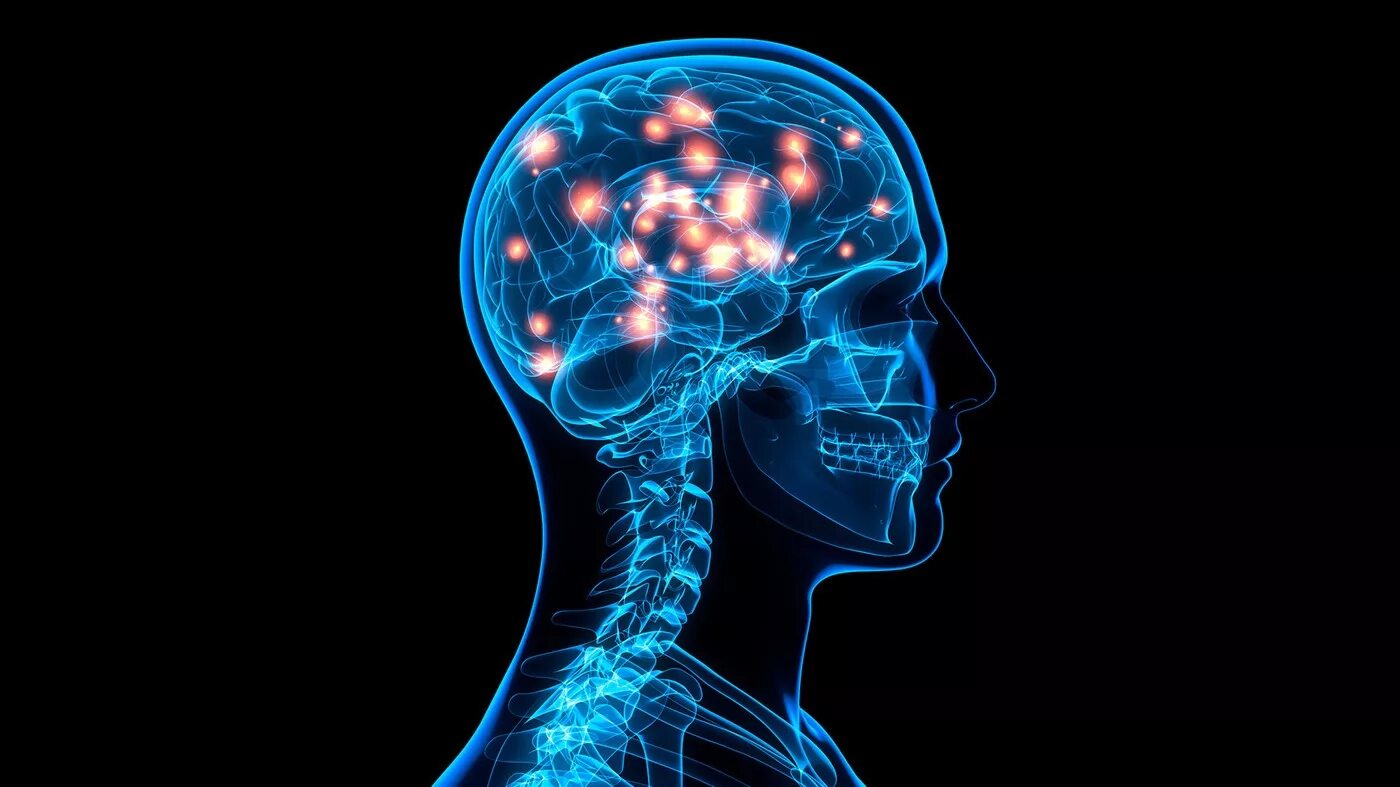 нервная система и психика. гиперфронтальность мозга снимок. психиатрия мозга. психиатрия мозга. психиатрия мозг.