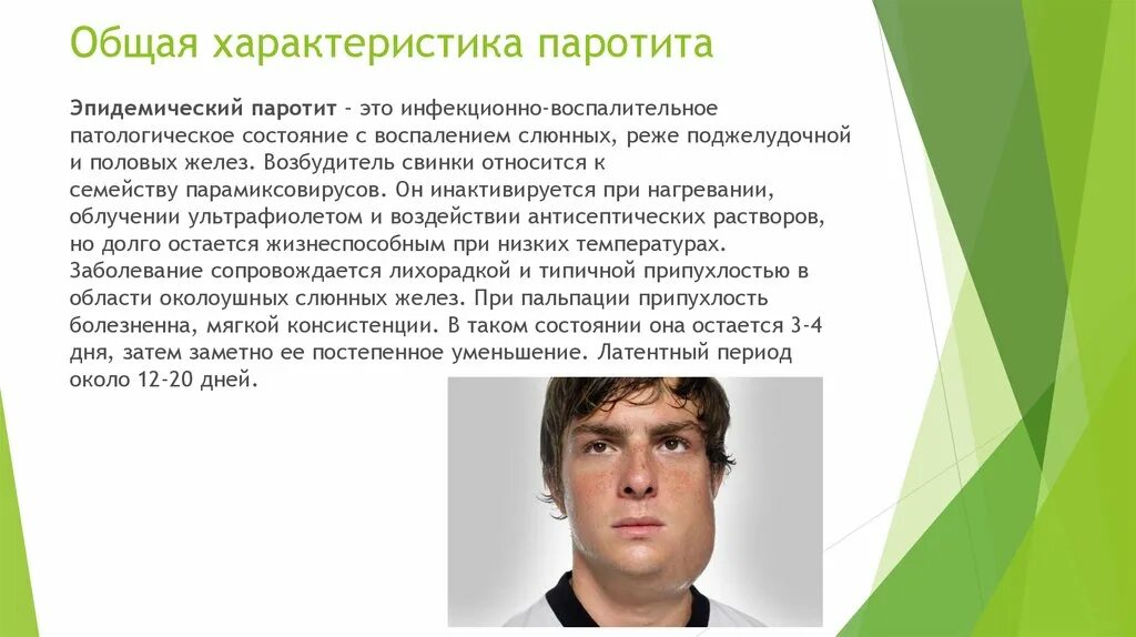 Паротит спб. Паротит характеристика. Паротит у детей лекция. Эпидемический паротит характеристика. Паротит возбудитель.