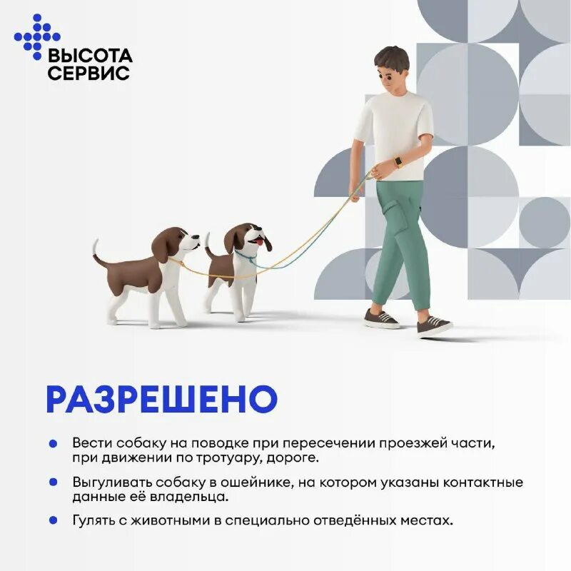 гк высота сервис