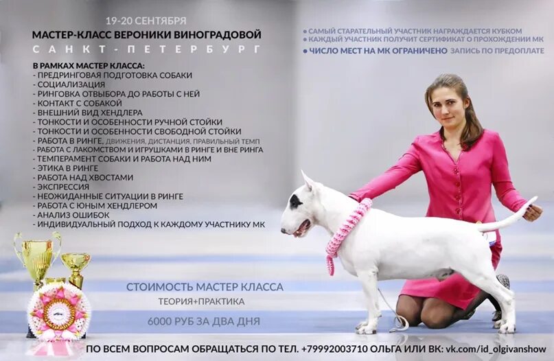 Выставка собак ижевск. Выставка собак РКФ. Выставка собак афиша. РКФ хендлеры. Выставка собак кошек в Москве.