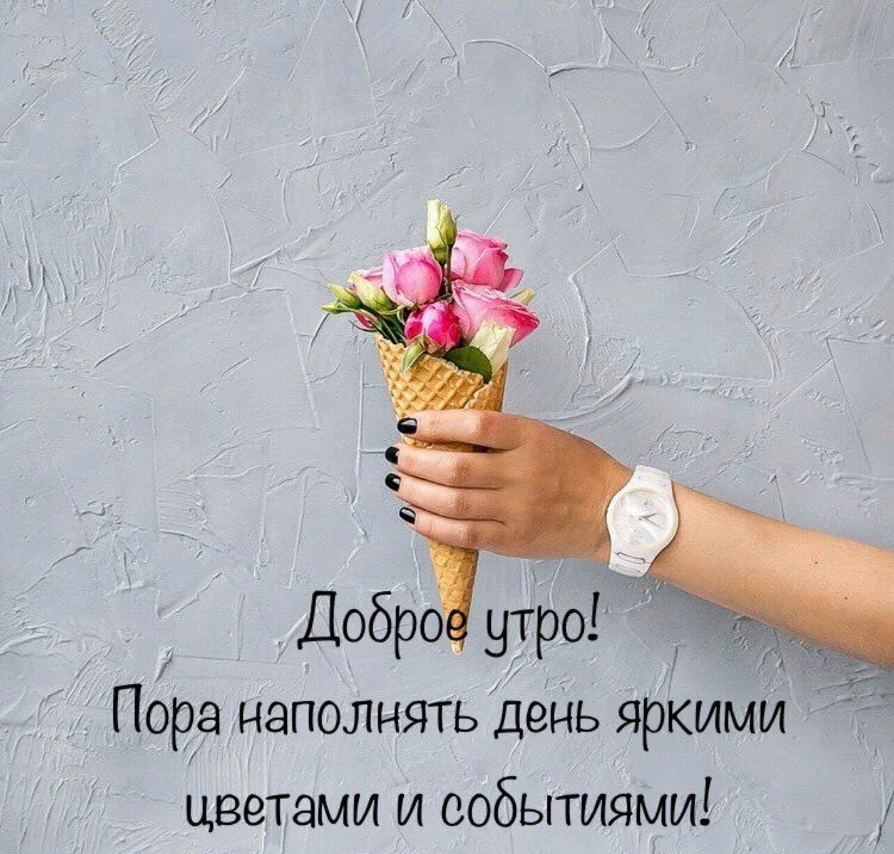 С днем рождения ваша мудрость