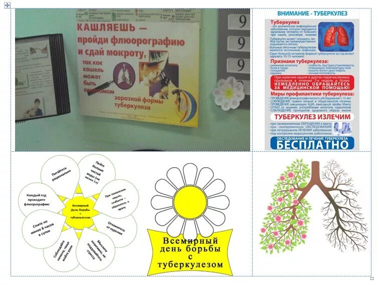Мероприятия против туберкулеза. День борьбы с туберкулезом. Всемирный день здоровья. Профилактика туберкулеза белая Ромашка. Акция против туберкулеза.