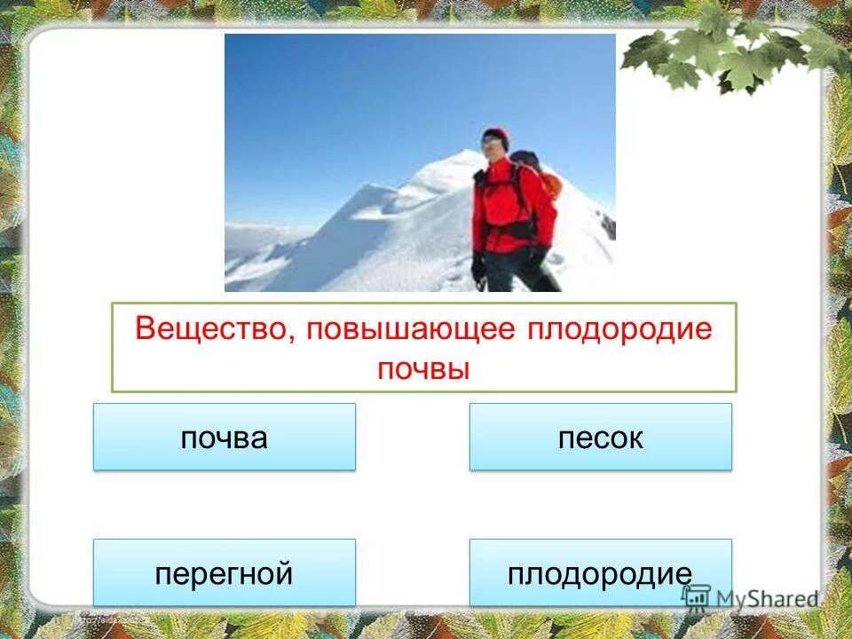 вещество повышающее плодородие