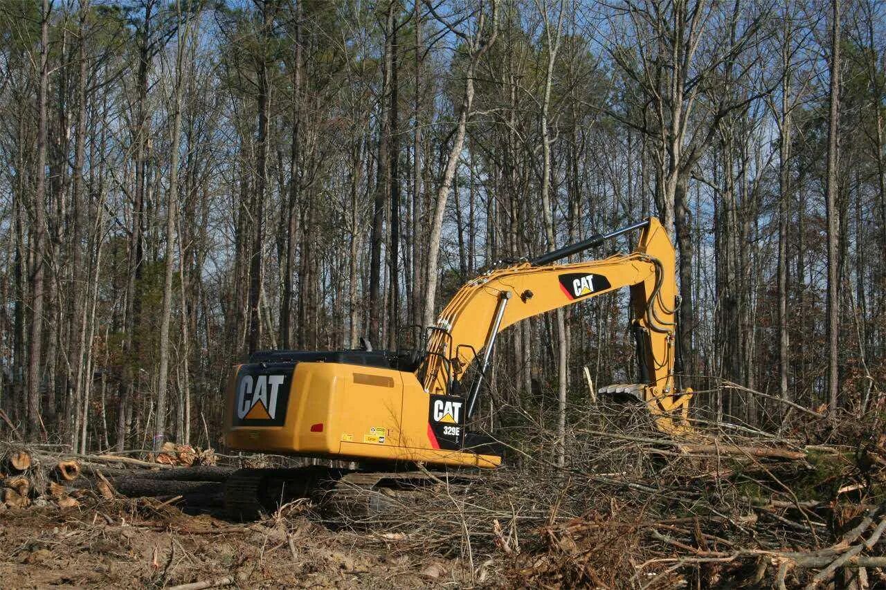 Clearing land. Land clearing. Excavated Land. Tree Excavation. Sloping Excavation.