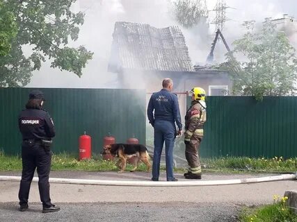 Приехать 00