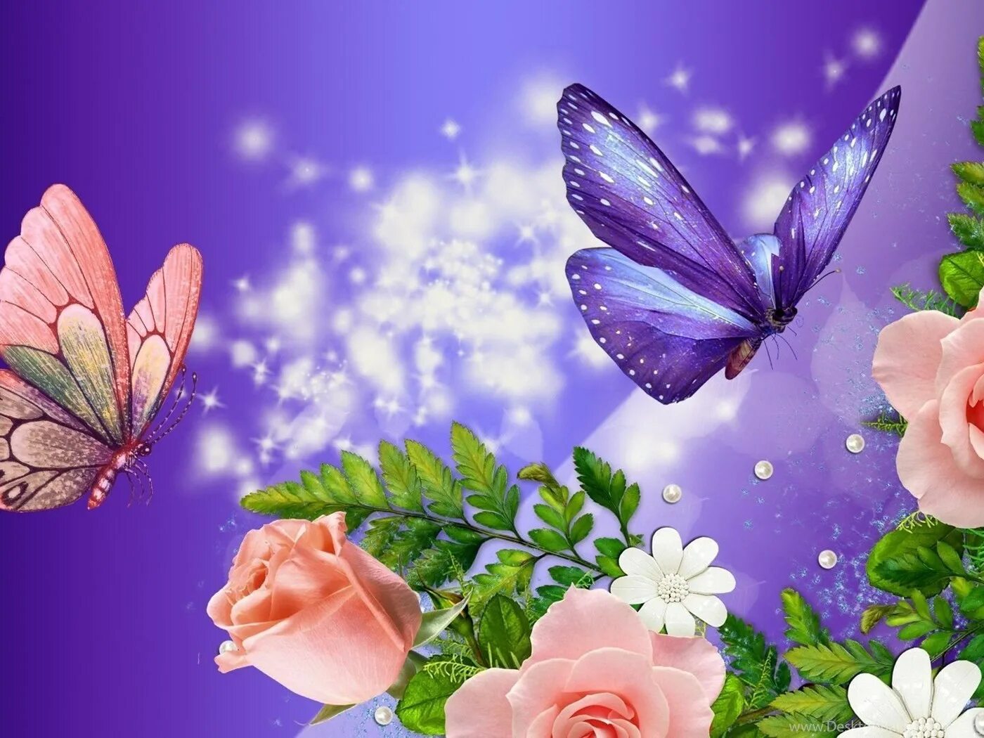 Открытка бабочка. Открытка с цветами и бабочками. Бабочка на цветке. Красивые открытки с цветами бабочками. Красивые цветы с бабочками