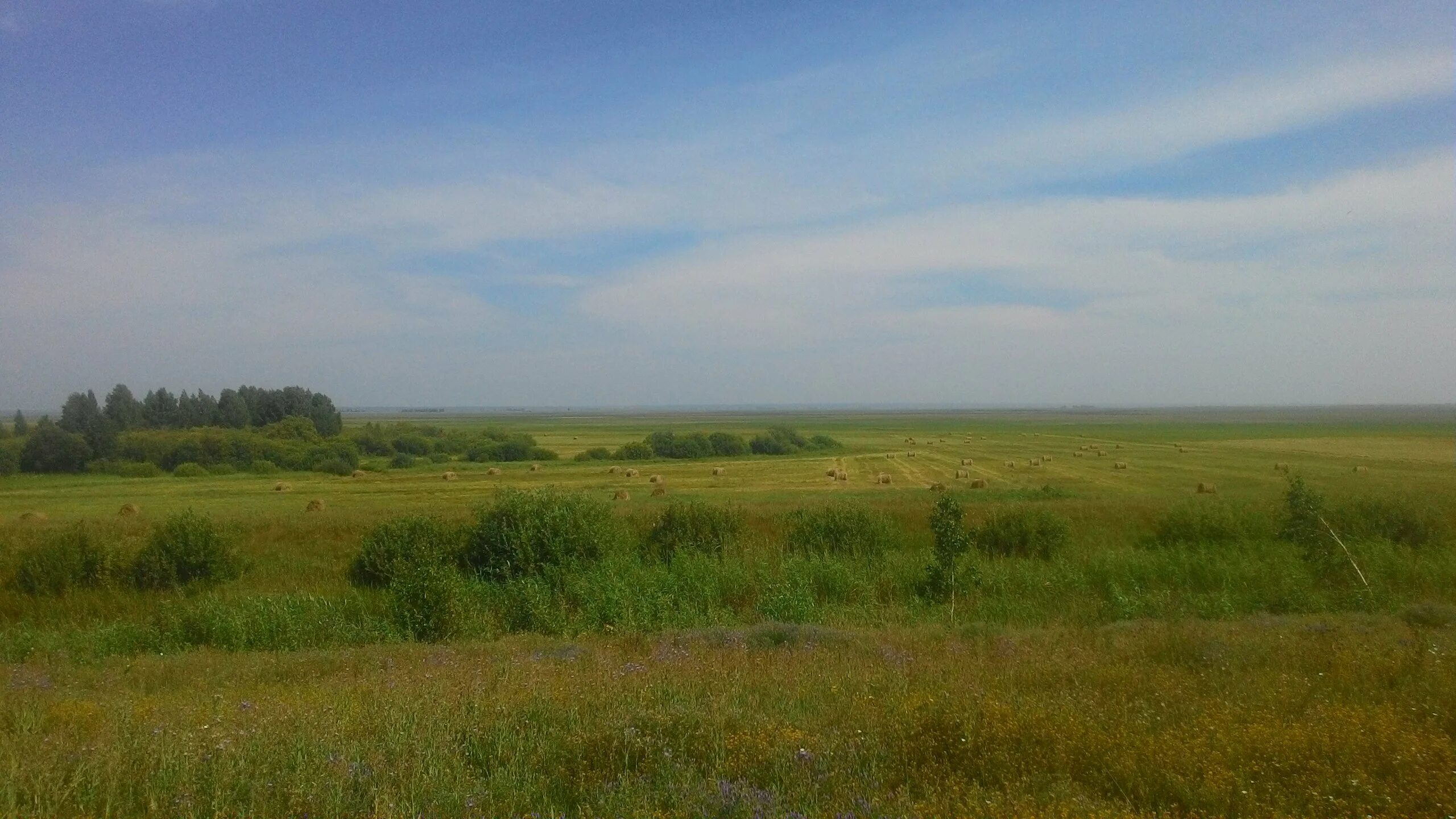 Кулундинская степь Алтайский край. Кулундинская равнина Алтайский край. Барабинские степи Новосибирская область. Кулундинская степь Алтайский край районы.