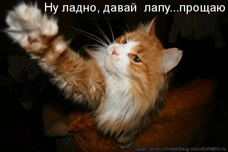 Так и быть