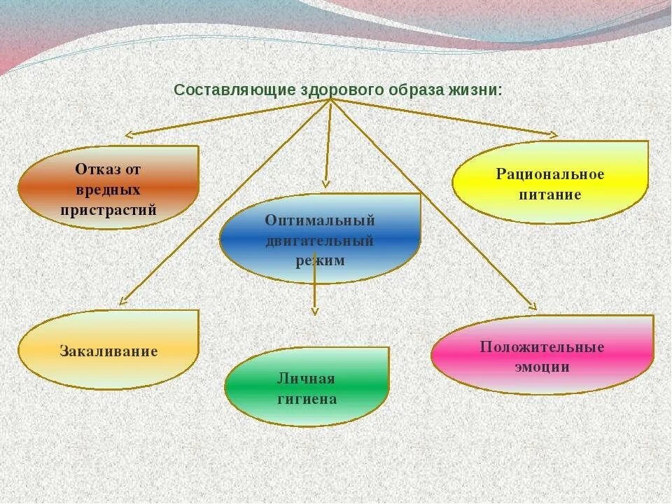 Что состоит из 5 составляющих. Схема основные составляющие здорового образа жизни. Составляющие ЗОЖ таблица. Основные составляющие здорового образа жизни человека кратко. Основные составляющие здорового образа жизни ОБЖ.