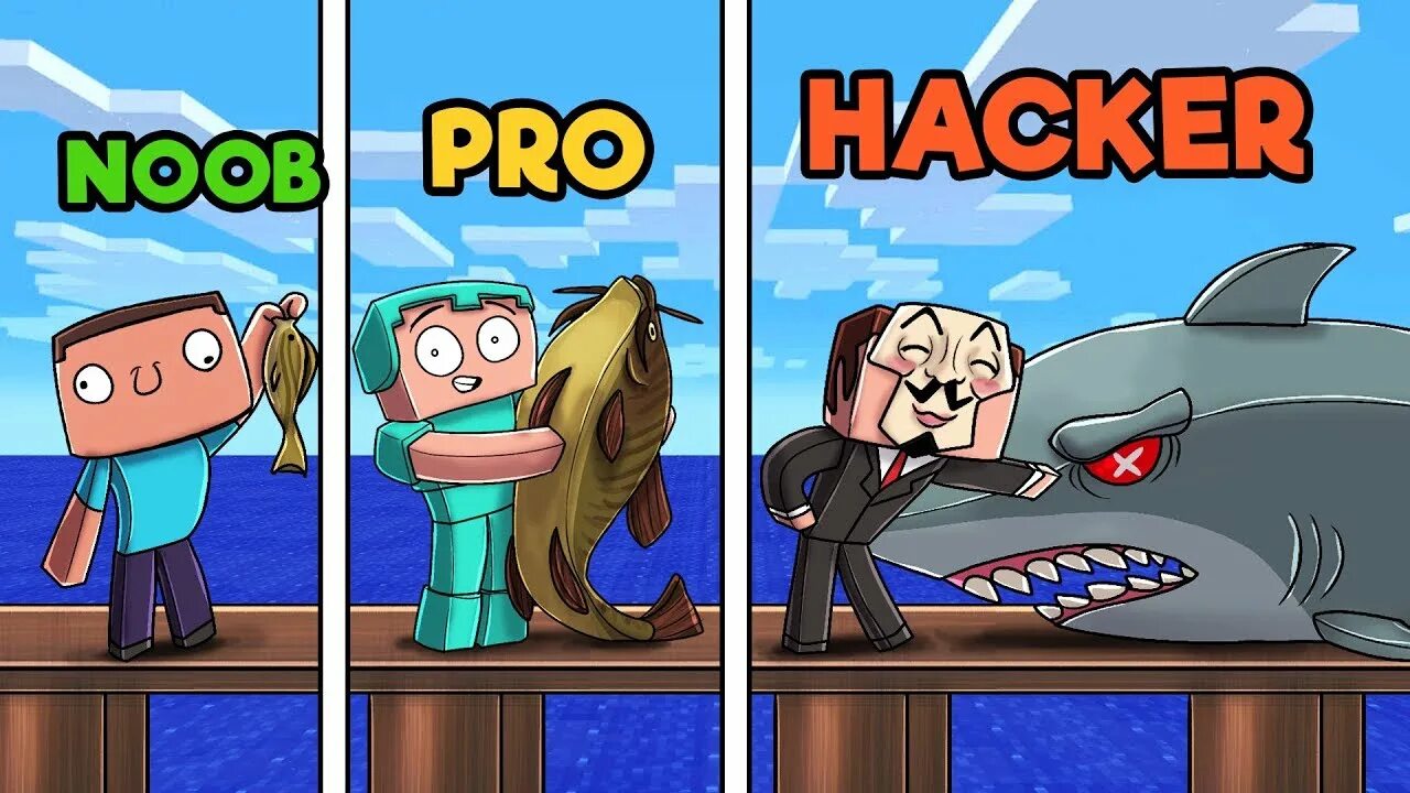 Noob vs hacker. Noob vs pro.