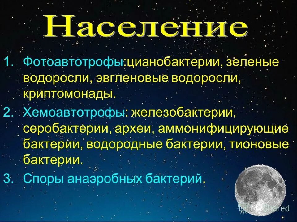 пурпурные серные бактерии фотосинтез. хемоавтотрофы примеры бактерий. прокариоты археи и бактерии архебактерии. реакция хемосинтеза серобактерии. реакции хемосинтеза таблица.