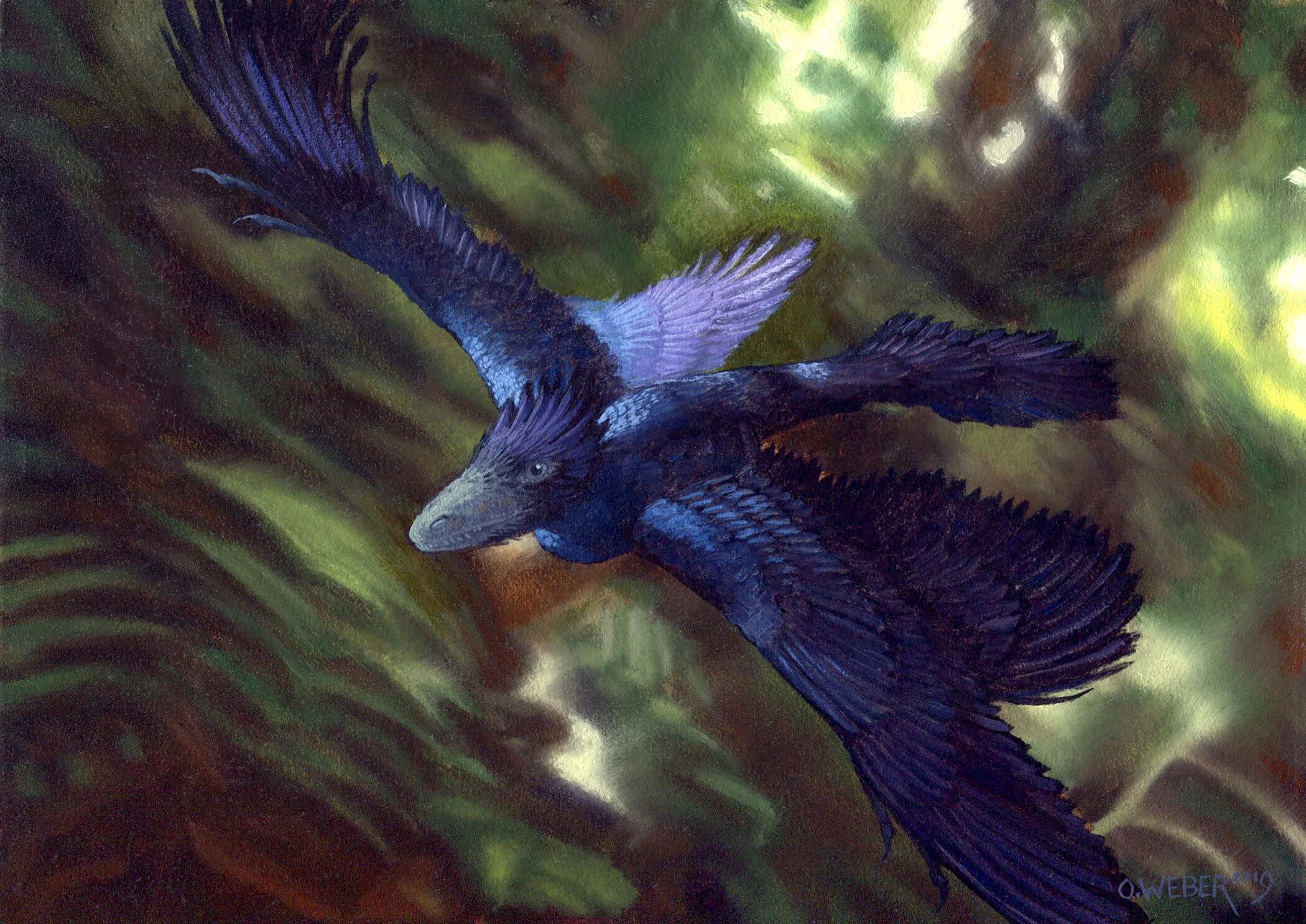 Микрораптор. Microraptor zhaoianus. микрораптор динозавр. четырехкрылый микрораптор. микрораптор гуи.