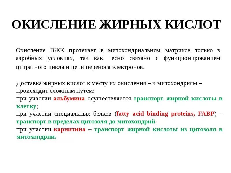 Способ почему б. Роль β-окисления жирных кислот:. Биологическая роль бета окисления жирных кислот. Транспорт и окисление жирных кислот в митохондриях. Биологическая роль окисления высших жирных кислот.