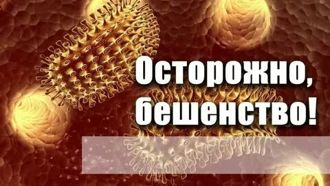 Чокнутых регистрация