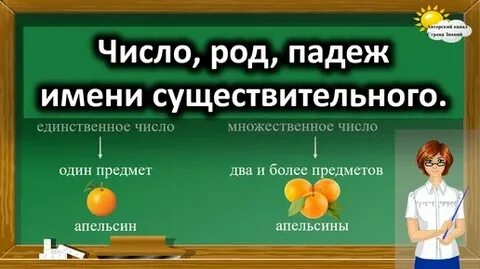 Род число падеж существительных 3 класс