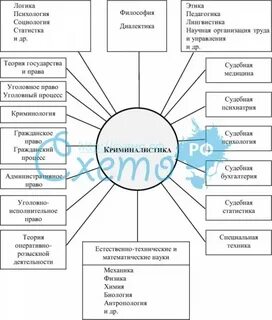 Международными юридическими науками