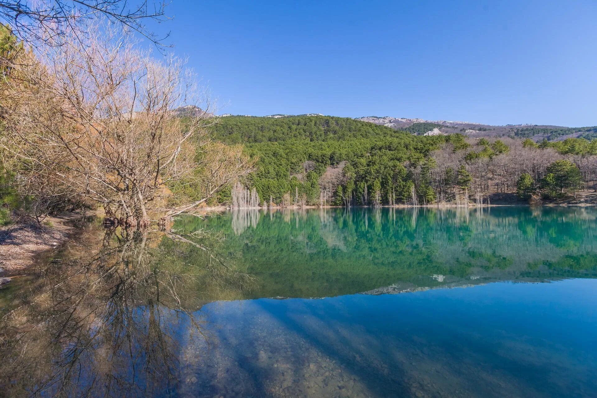 Большое озеро в крыму. Голубое озеро Запрудное Алушта. Бирюзовое озеро Крым Запрудное. Голубое озеро село Запрудное. Озеро Юбилейное Запрудное Крым.