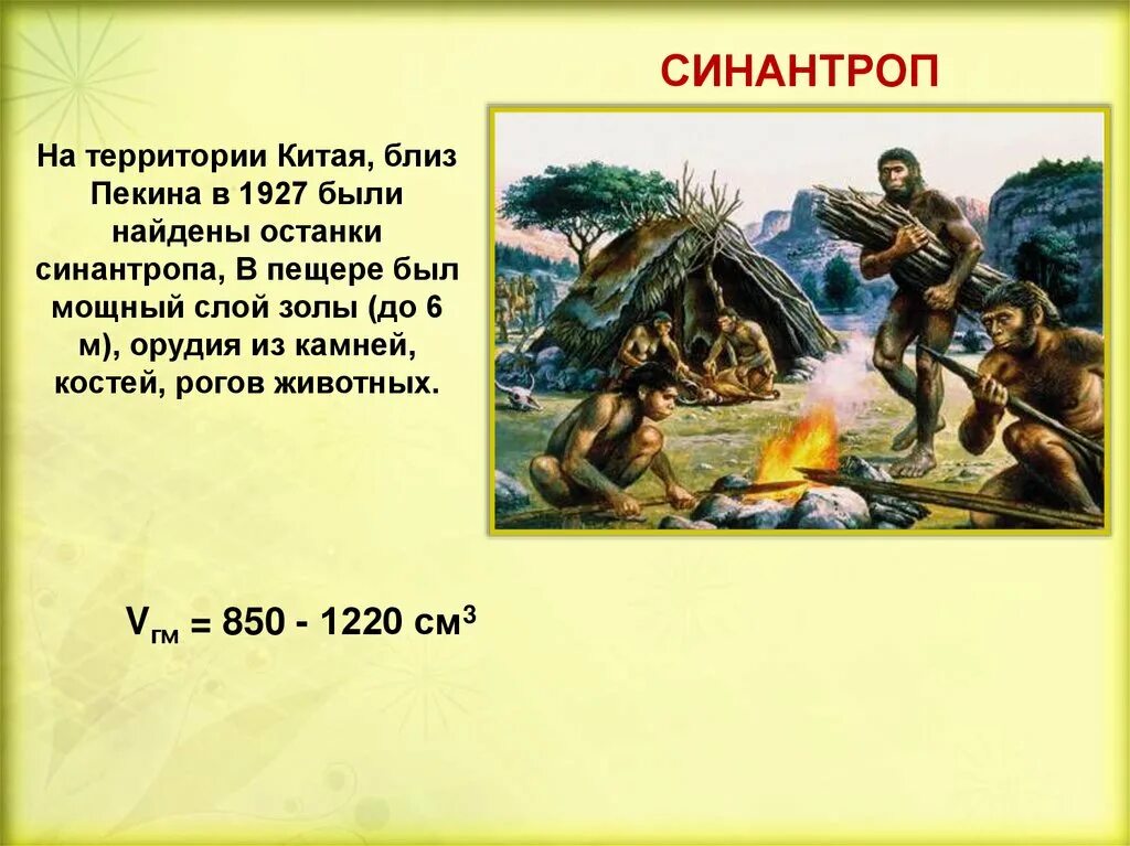 Синантроп образ жизни. Пекинский синантроп. Синантроп Китай. Синантроп реконструкция.