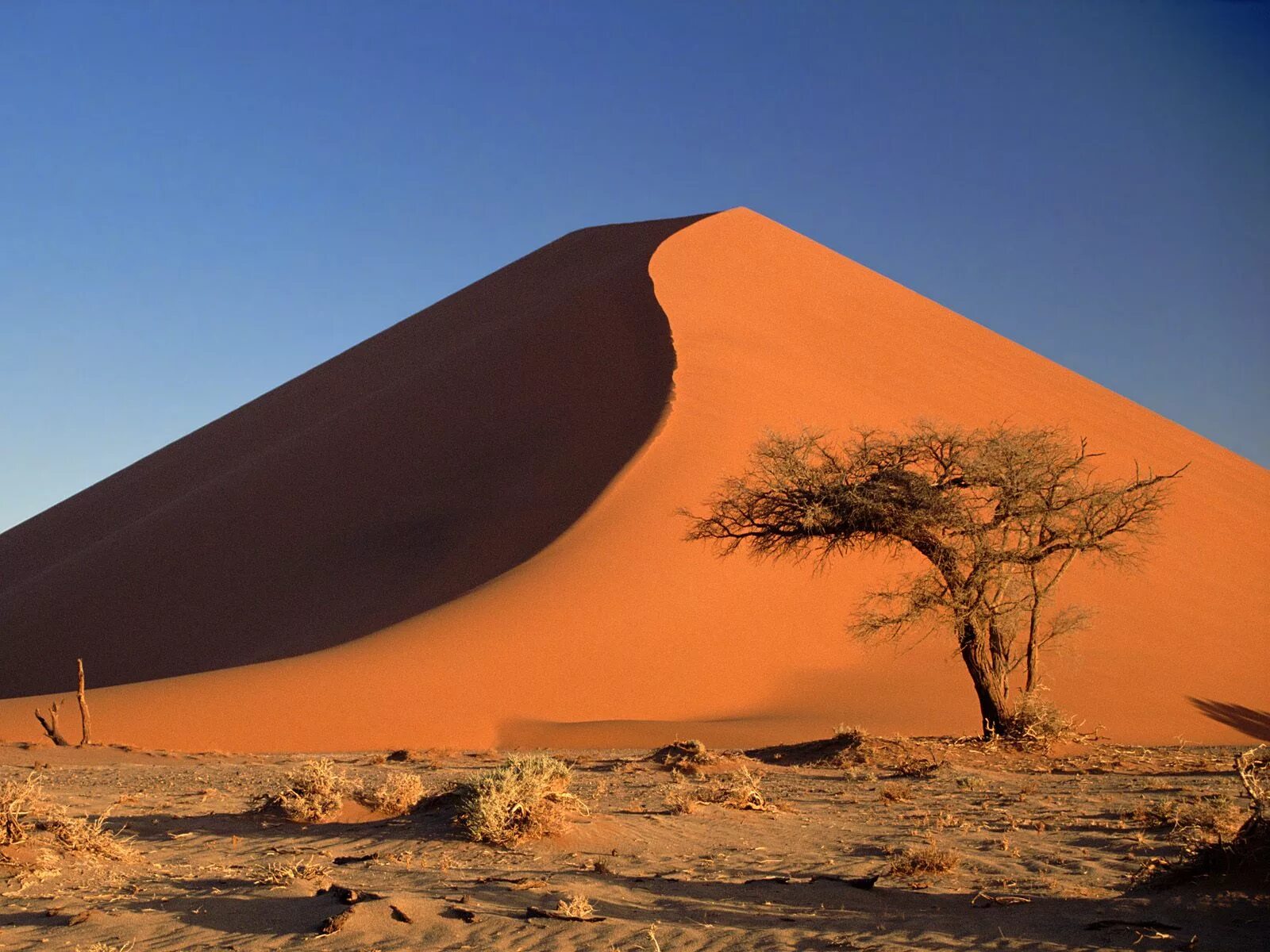 Самые большие 10 пустыни в мире. Намибия пустыня Намиб. Пустыня Намиб дюны. Пустыня Намиб в Африке. Намиб пустыня Туманов.