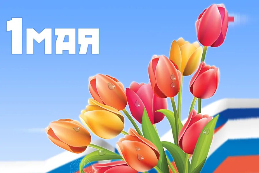 Новшества с 1 мая 2024. 1 мая праздник. открытки с 1 мая. день весны и труда. с 1 мая картинки поздравления.