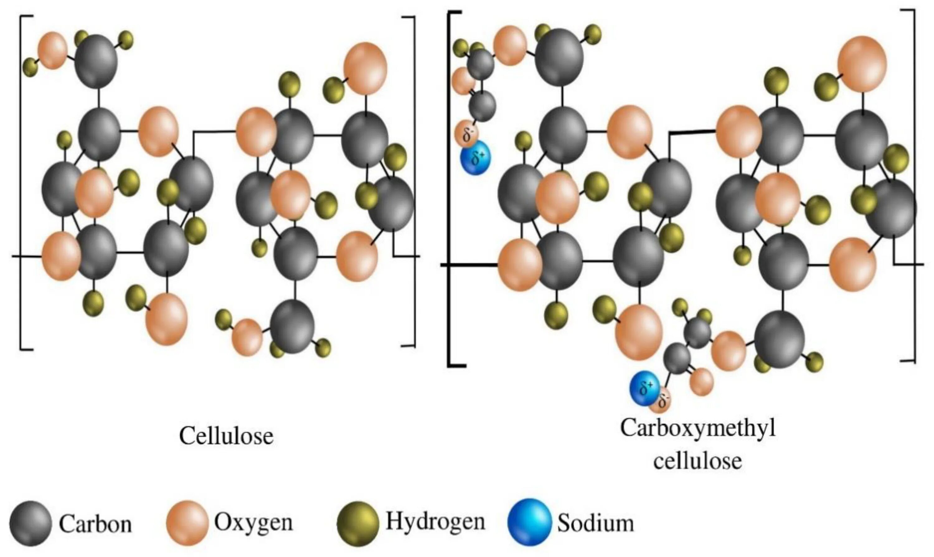 Recent developments. Целлюлоза пав. Sodium carboxymethyl Cellulose СОА. Cellulose structure. Specification carboxymethyl Cellulose.