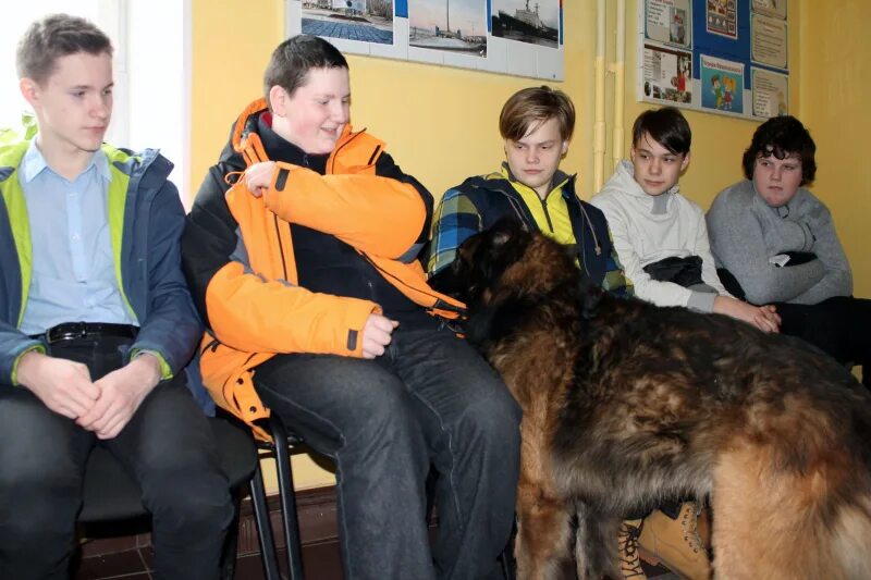 день кинологических подразделений мвд россии (день кинолога). кинолог в балговещенске. кинологический расчет. приют остров спасения благовещенск. благовещенск амурская область школа кинологов.