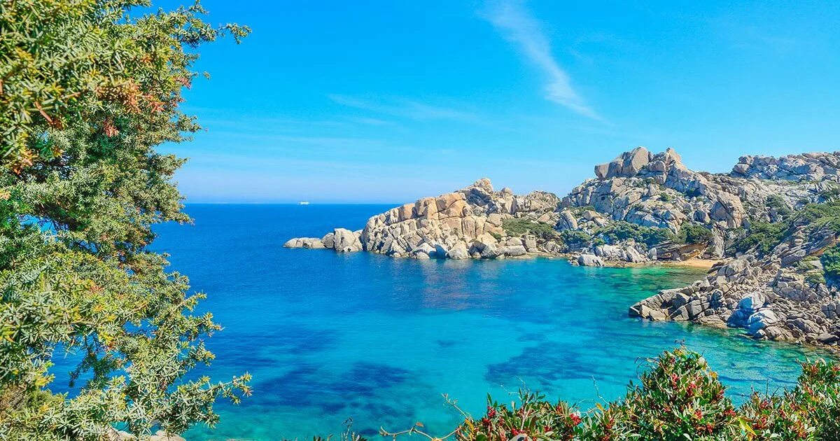 климатическая карта сирии. средиземноморский климат страны. средиземноморский климат в россии. субтропический средиземноморский климатический пояс. средиземноморский климат страны.