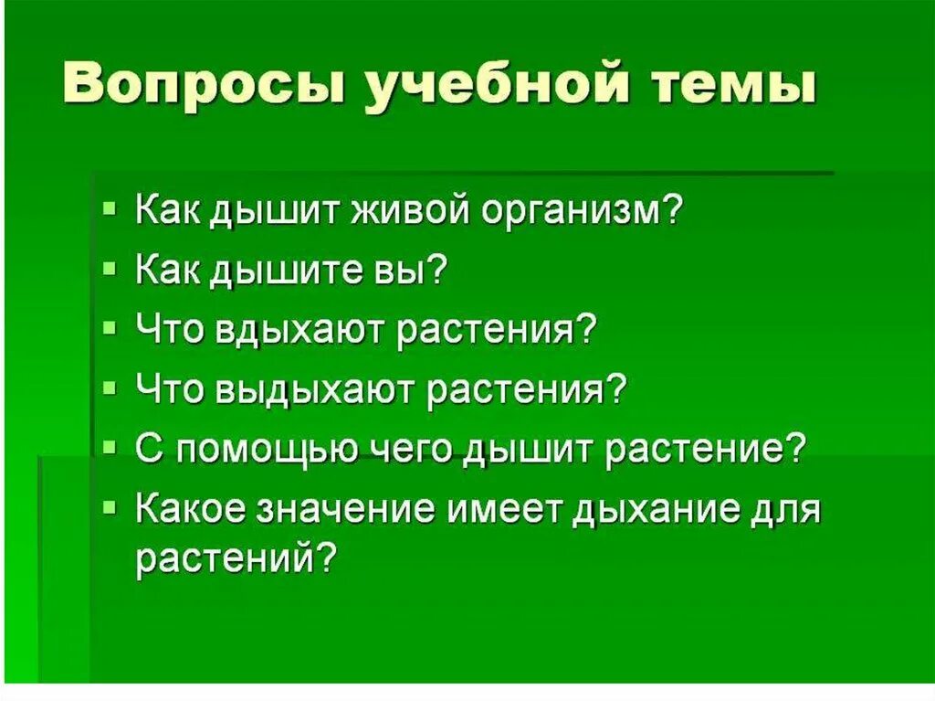 Какое значение имеет дыхание 6 класс биология. Вопросы по теме дыхание. вопросы на тему дыхание. вопрос растения дышат ?. вопросы по дыханию растений.