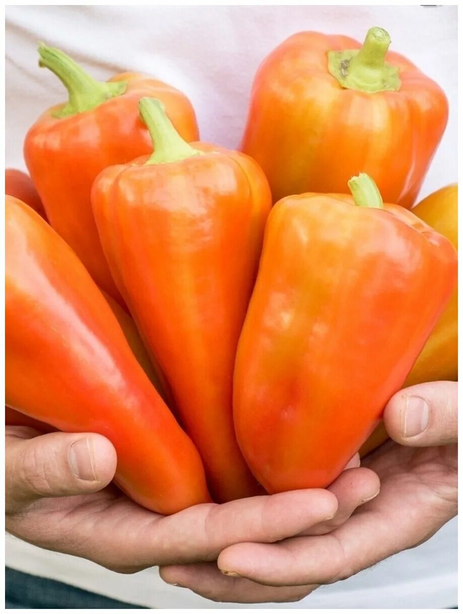 Перец клаудио f1 5шт (партнер). Перец сладкий риалто f1. Перец парнет f1 партнер. Семена партнер перец ламуйо. Партнер перец ласанта f1.