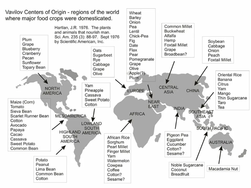 Countries regions перевод. "The Origin of Wealth" Eric Beinhocker. The Origin of cultivated Plants. Technological Map of cultivation of Agricultural Crops. Agricultural Crops. The Origin of cultivated Plant.