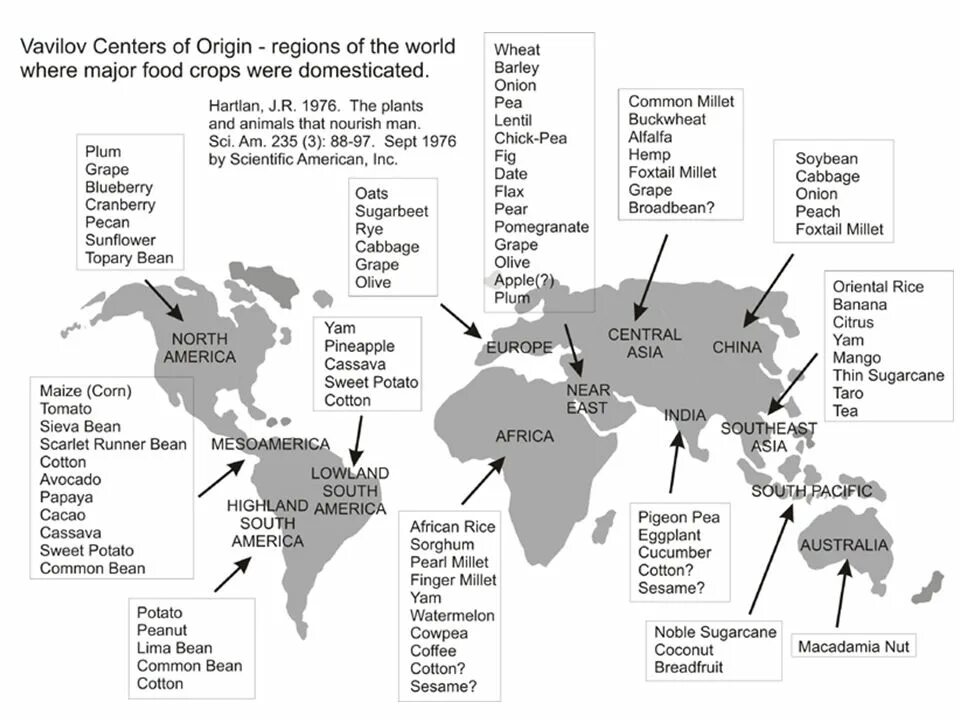 "The Origin of Wealth" Eric Beinhocker. The Origin of cultivated Plants. Technological Map of cultivation of Agricultural Crops. Agricultural Crops. The Origin of cultivated Plant. Countries regions перевод