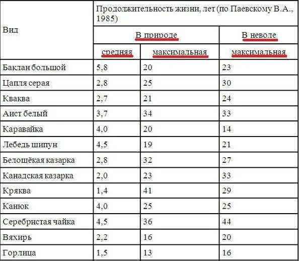 Продолжительность жизни особи. Продолжительность жизни животных таблица. Срок жизни птиц таблица. Средняя Продолжительность жизни животных таблица. Продолжительность жизни животных таблица 1.