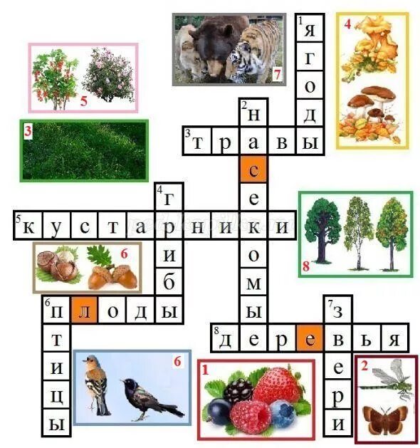 Кроссворд лес слов. Сканворд по теме по лесным тропинкам. Внеклассное мероприятие по окружающему миру 2 класс. Кроссворд по теме по лесным тропинкам дошкольников. Кроссворд окружающий мир 2 класс животные, птицы.