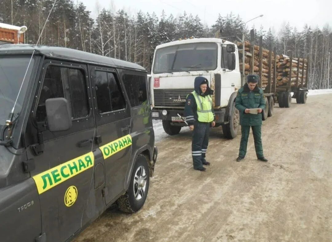 Лесная охрана приморский край. Федеральный государственный Лесной надзор (Лесная охрана) Якутия. Инспектор Лесной охраны. Государственный инспектор Лесной охраны. Лесничество автомобили.