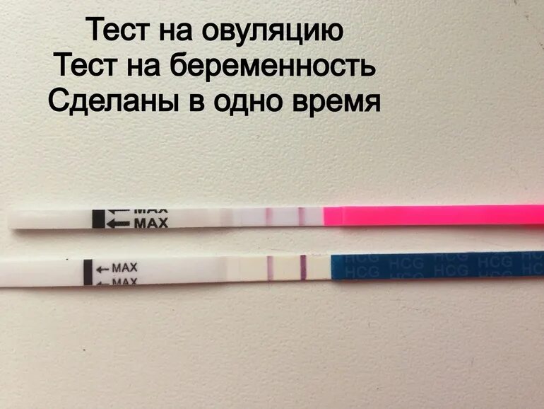 Тесты лучше делать утром. Тест на беременность. Тест на овуляцию и беременность. Тест на овуляцию при беременности. Тест на овуляцию и тест на беременность.